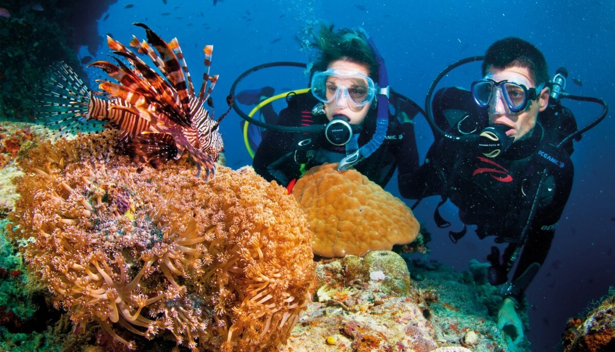 great barrier reef